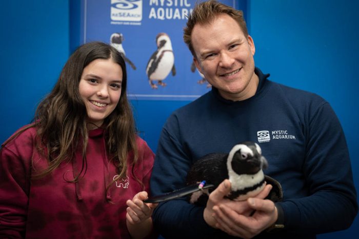 two mystic awuarium employees holding penguins