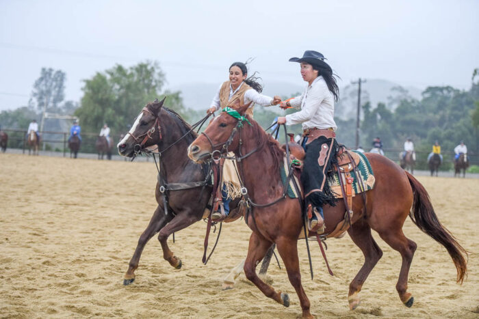 Thacher School Horses 2024