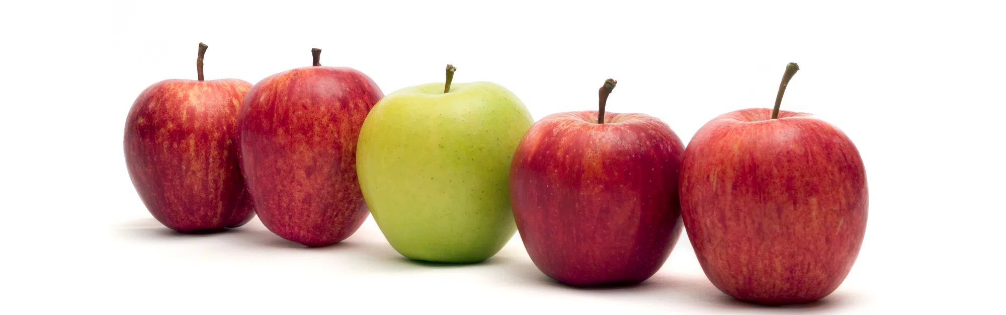 Why Hiring for Culture Fit Weakens Your Organization – And What to Look for Instead Banner